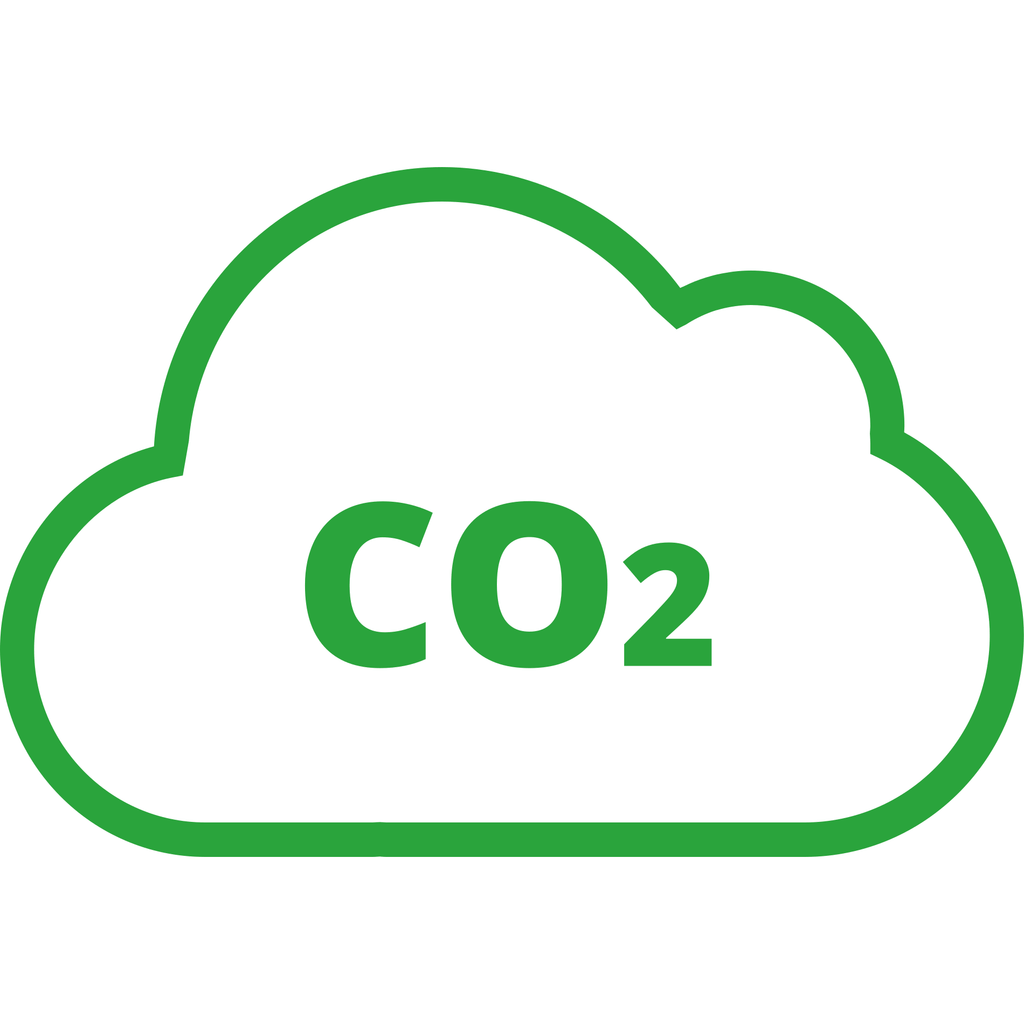 ∙ Carbon Offset - elliott footwear